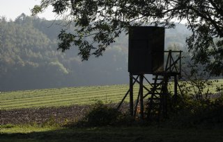 Besmetting Afrikaanse varkenspest raakt vooral grondgebruikers