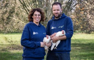 Ondernemen in de land- en tuinbouw zonder het stempel 'vrouw'
