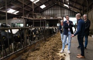 Voor de zomer plannen voor generieke en gebiedsgerichte aanpak