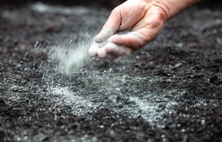 Steenmeel levert weinig voordeel op dalgrond