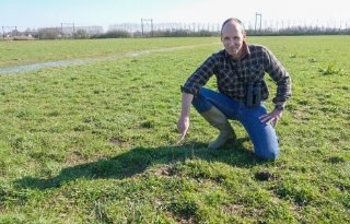 Eerste kievitsei van 2026 op graslandperceel in Ravenstein