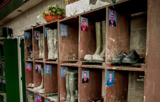 Gemeenten worstelen met initiatieven voor multifunctionele landbouw