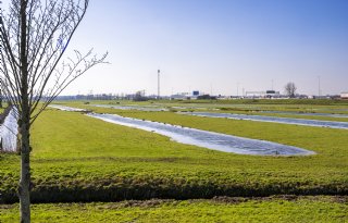 'Grutto houdt de agrarische sector al jaren een spiegel voor'