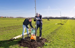 Eerste van vele bomen de grond in bij Boerderij Het Lansingerland