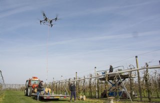 Drone trekt staalkabels voor overkapping kersenperceel