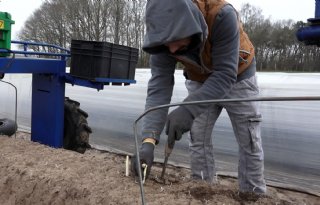 Zoektocht naar het eerste witte goud weer in volle gang