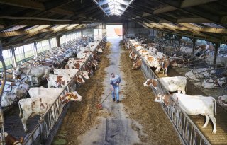 Provincie Noord-Brabant blokkeert nieuwe stal met 'kleinste kamertje'