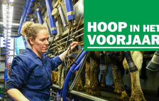 Hoop in het voorjaar - aflevering 1: Omschakeling gaf melkveehouders rust