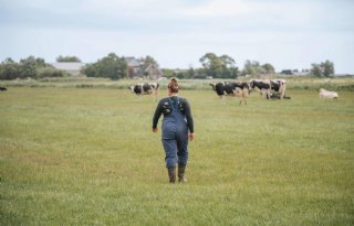 Webinar: De echte waarde van weidegang