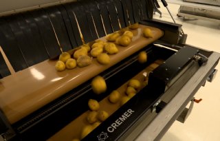 Nieuwe machine telt pootgoed en uien: 'Aantallen zijn belangrijker dan kilo's'