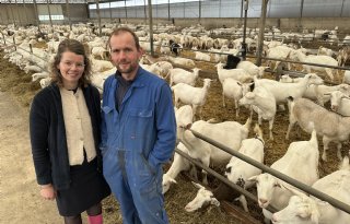 Handje meehelpen bij geitenhouders Van Ittersum