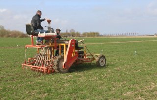 Kunnen klaver en herbicidengebruik samengaan?