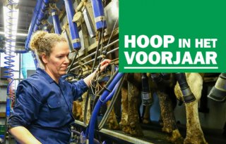 Hoop in het voorjaar - aflevering 1: Omschakeling gaf melkveehouders rust