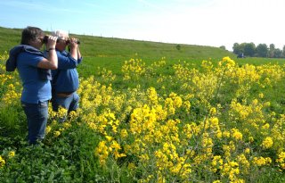 Bufferstrook maakt boer en natuur weerbaar