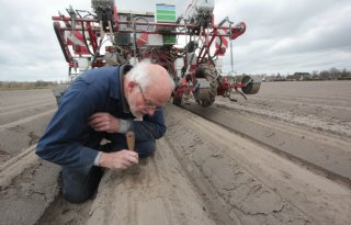 Triplet-inzaai geeft betere verdeling peenzaad