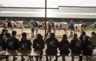Arjen Peters prolongeert titel NK veebeoordelen voor studenten