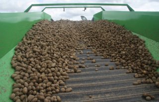 Termijnmarkt aardappel op € 16