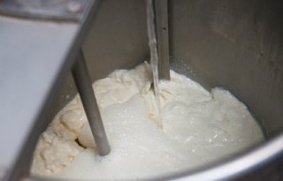 Kennis, begeleiding en kwaliteit op het juiste moment: de basis voor sterke kalveren