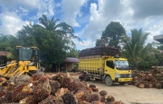 Palmolieruzie tussen EU en Indonesië zet Nederlandse export onder druk