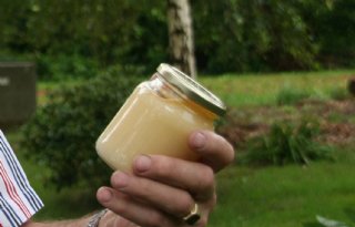 ‘Gg-stuifmeel geen risico honingconsument’