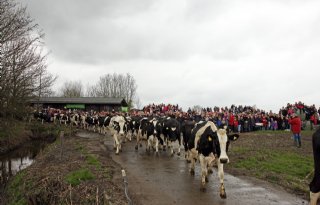 2040: 3 boerenbedrijfsvormen Nederland