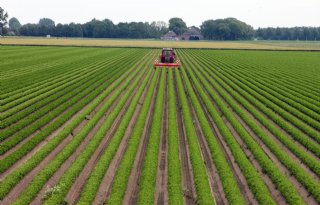 ING: land- en tuinbouw groeit in 2012