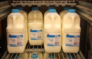 Boer koopt minder melkquotum