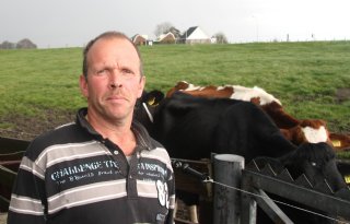 Rijnland: koe moet van veendijk