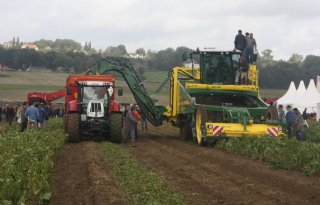 Vlaanderen: meer aardappelen, minder tarwe