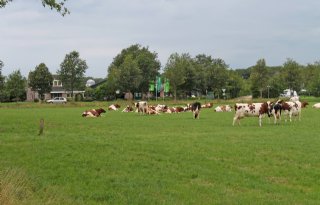 Ciolos tegen EP-plan regulering melkmarkt
