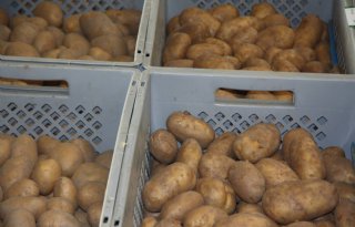 Onderzoek naar Duits aardappelkartel