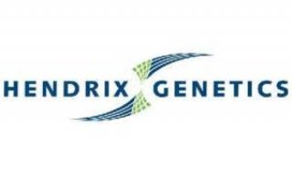 NPM Capital investeert in Hendrix Genetics