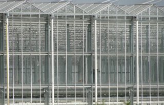 Glastuinbouwbedrijf kwart minder waard