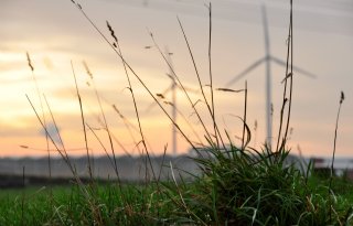 ‘Windenergie biedt kansen voor boeren’