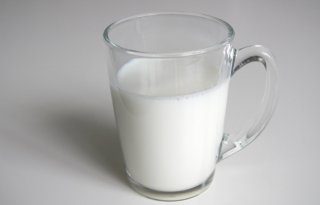 Broodje aap: melk zit vol antibiotica