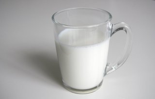 Al in het najaar signaal van aflatoxine in melk