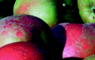 Voedselbank wil appelmoes van overschot