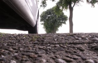 GroenLinks: stop geld asfalt in natuurfonds