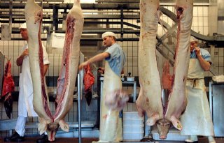 Vleesproductie daalde in 2011