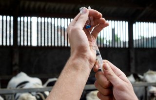 'Richt aanpak antibiotica op mens en dier'