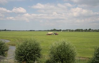 PvdA: Midden-Delfland 'bijzonder landschap'