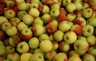 Duitse appeloogst boven 1 miljoen ton
