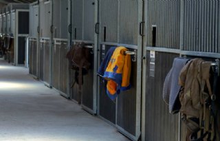 Paardenziekte in stal omgeving van Zwolle