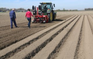 Zoektocht+naar+optimale+uienteelt+gaat+verder