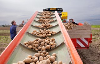 Akkerbouwer+poot+aardappelen+en+beregent+bieten+tegen+korst