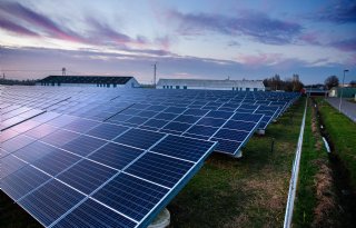 Zonnepark op landbouwgrond Budel voorlopig van de baan