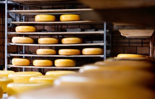 Duitsers verkiezen kaas en boter boven melk