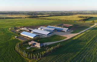 Familie Wilpshaar groeit in Canada: 500 koeien en robotmelken