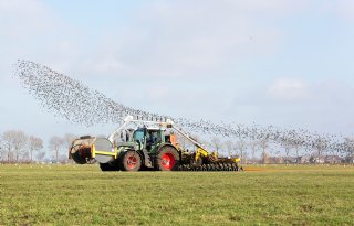 ‘Het geeft het gevoel dat je door doldwaze regels het ravijn in wordt gedreven’