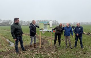 Maatschappelijke dienst met verdiencapaciteit